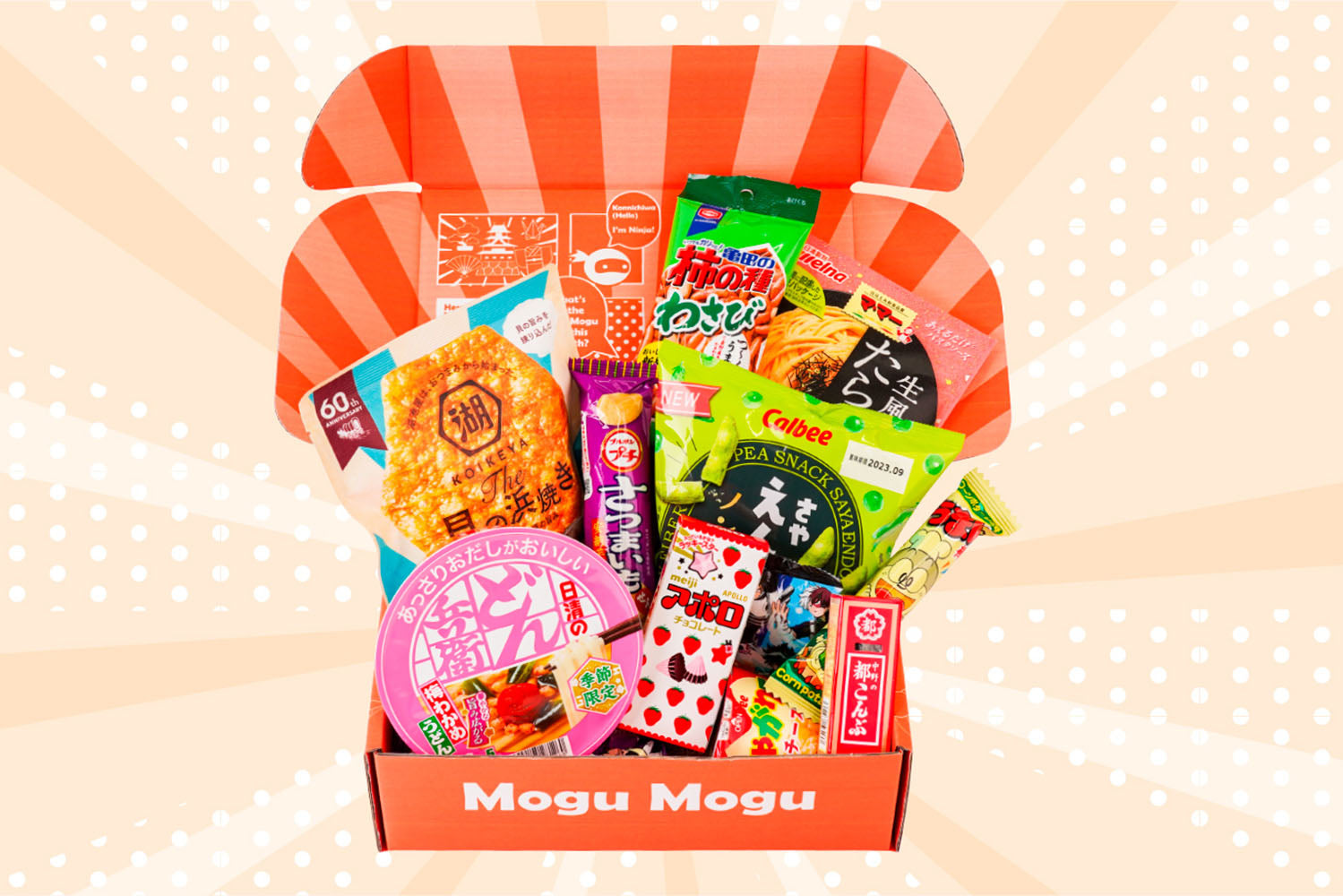 Mogu Mogu Box!